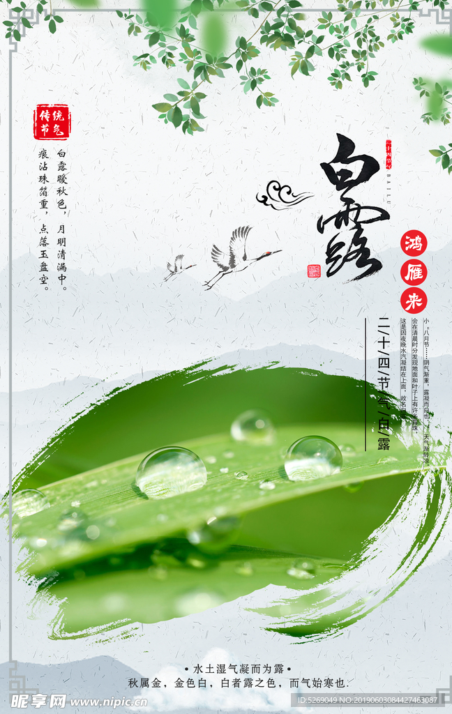 白露
