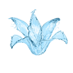 水花