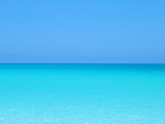 海