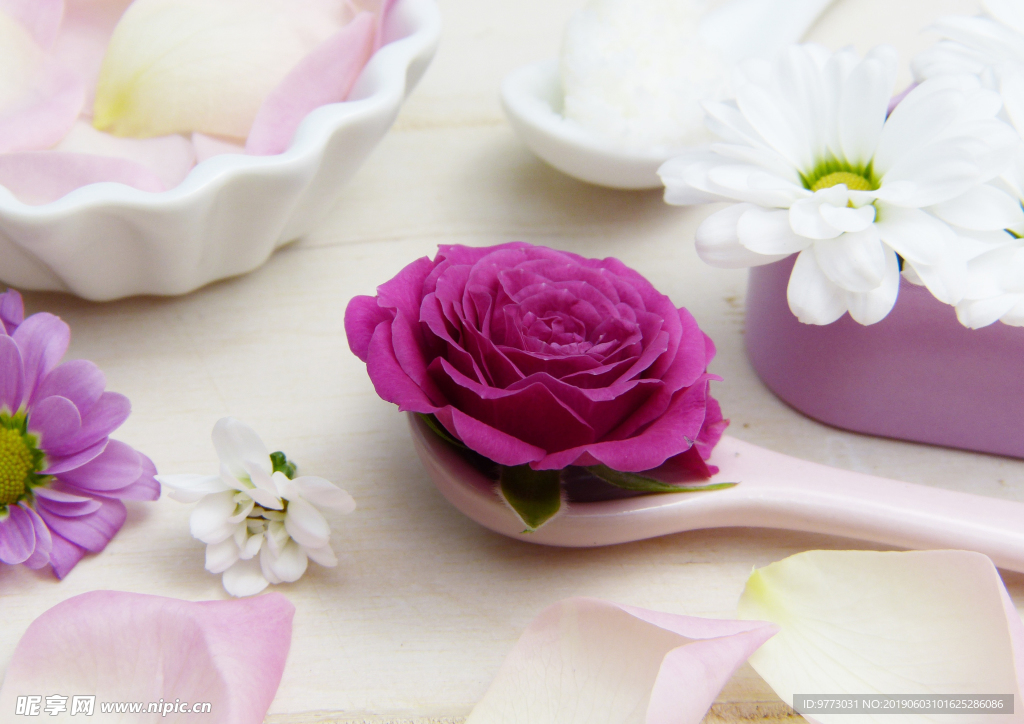 玫瑰花