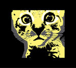猫儿