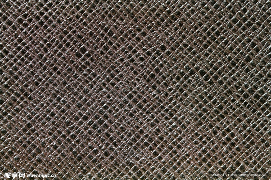 皮纹