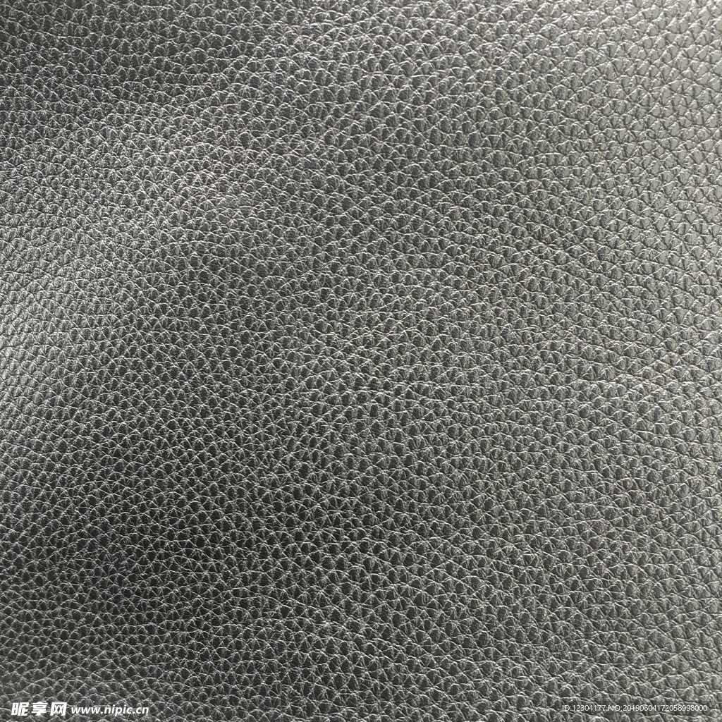 皮纹