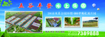 五谷丰登水上乐园户外高炮海报
