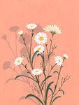 雏菊花朵图