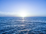 海洋