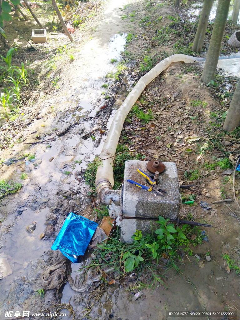 浇水