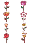 玫瑰花