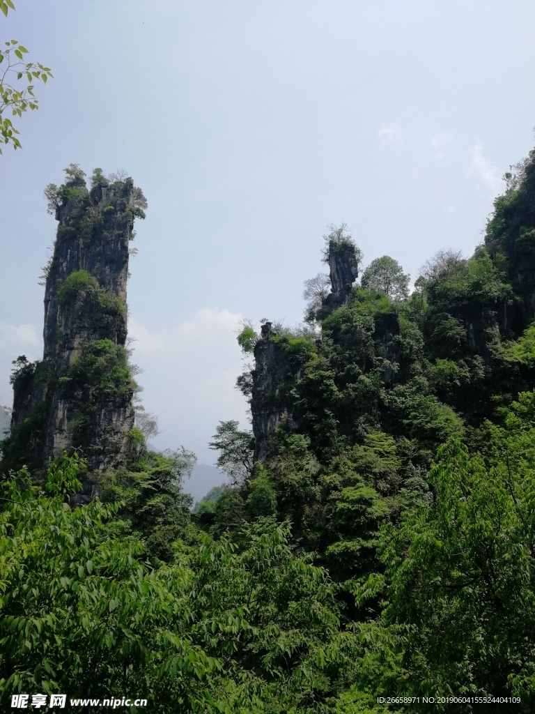 上方山 石柱 山林