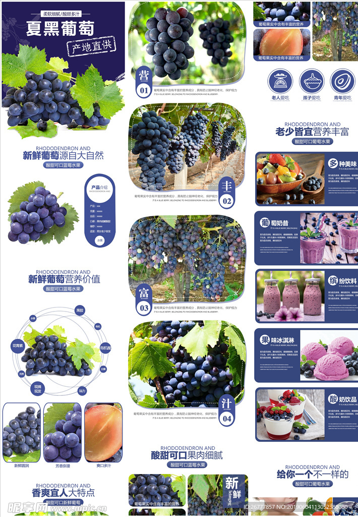 简约风格蓝色夏黑新鲜葡萄水果