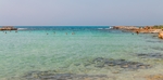 海洋