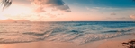 海洋