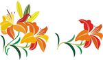 黄花菜矢量图