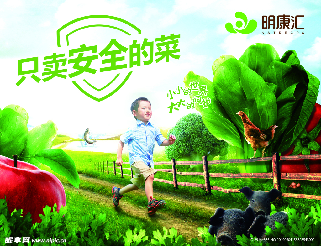 只卖安全的菜海报