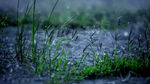 下雨