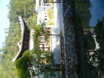 自然  风景  山水  花草