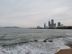 大海