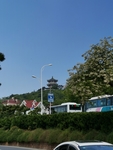 青岛
