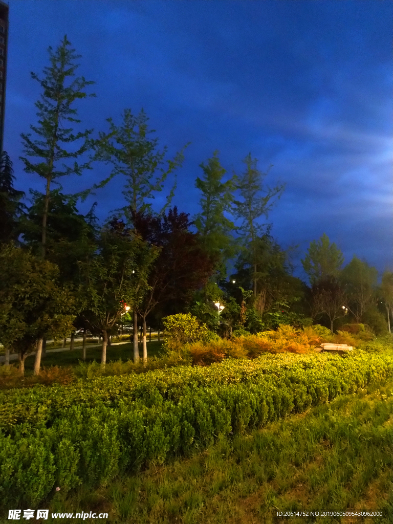 夜色下的公园风景