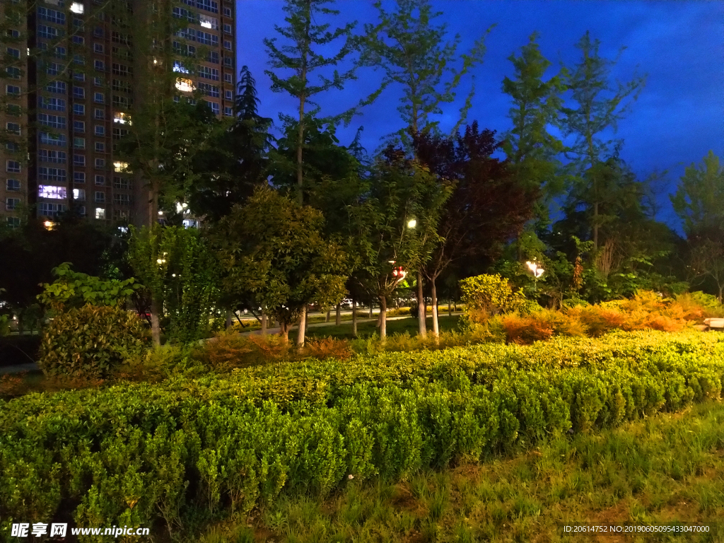 夜色下的公园风景