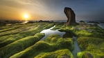 大海