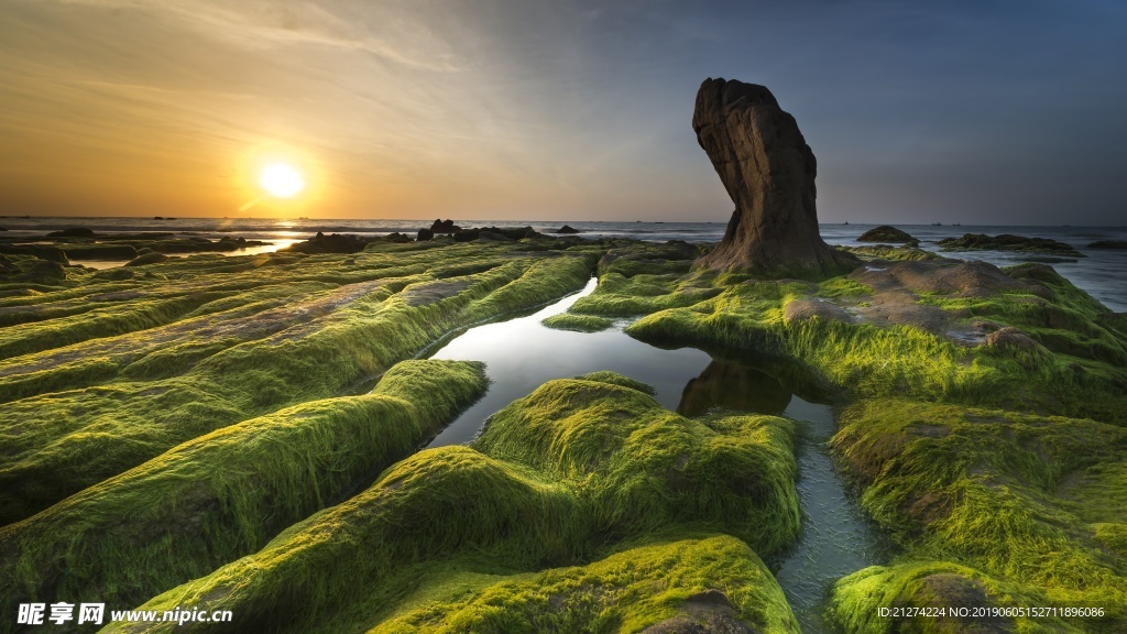 大海