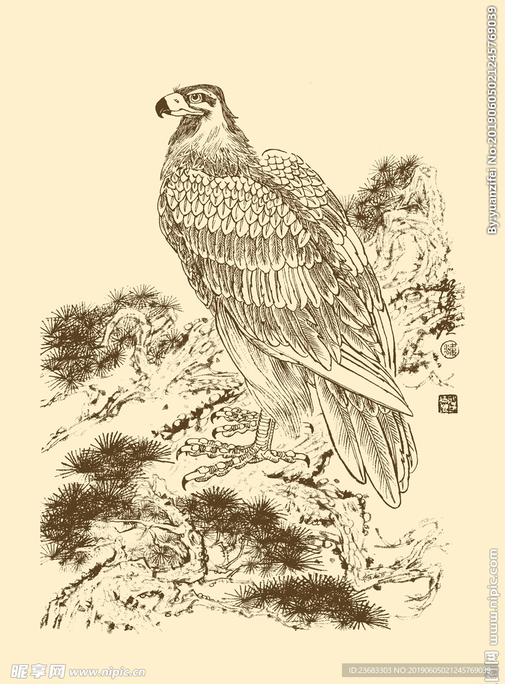 老鹰手绘素材