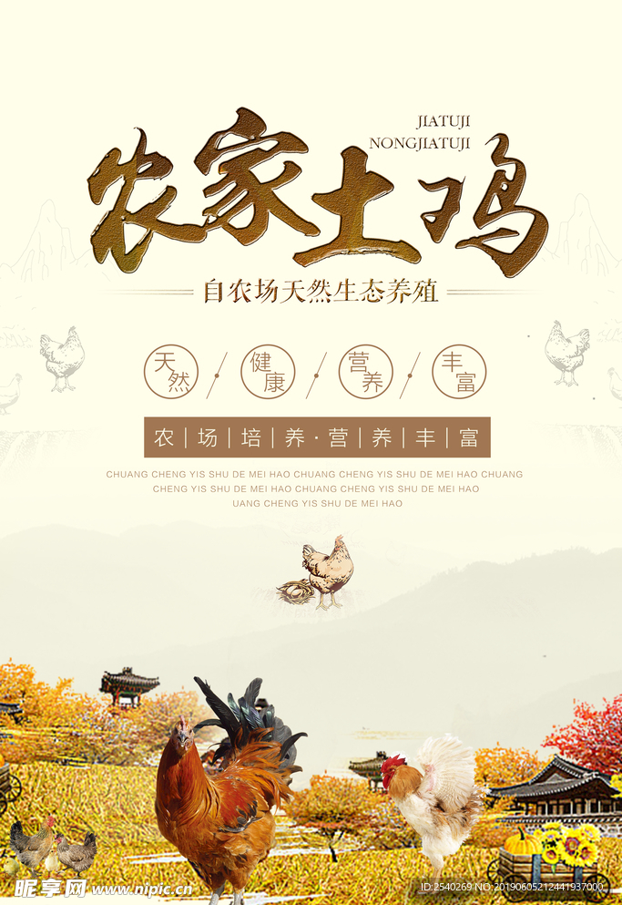 农家土鸡
