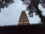 普救寺