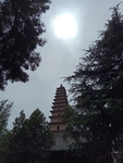 普救寺图片