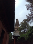 普救寺