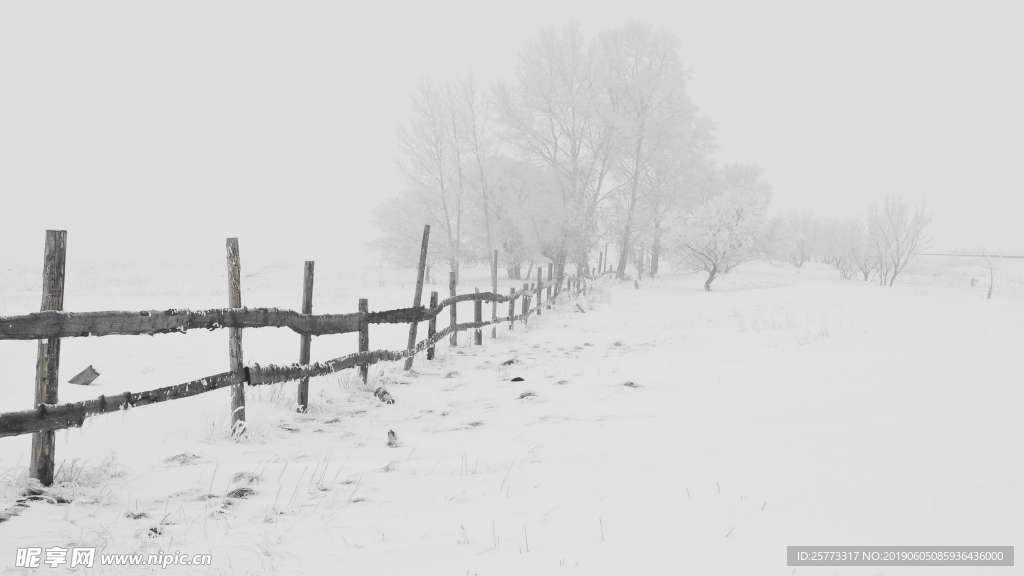 雪