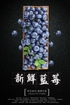 蓝莓