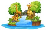 动物插画