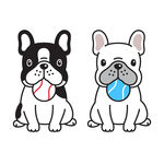 狗