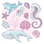海洋生物