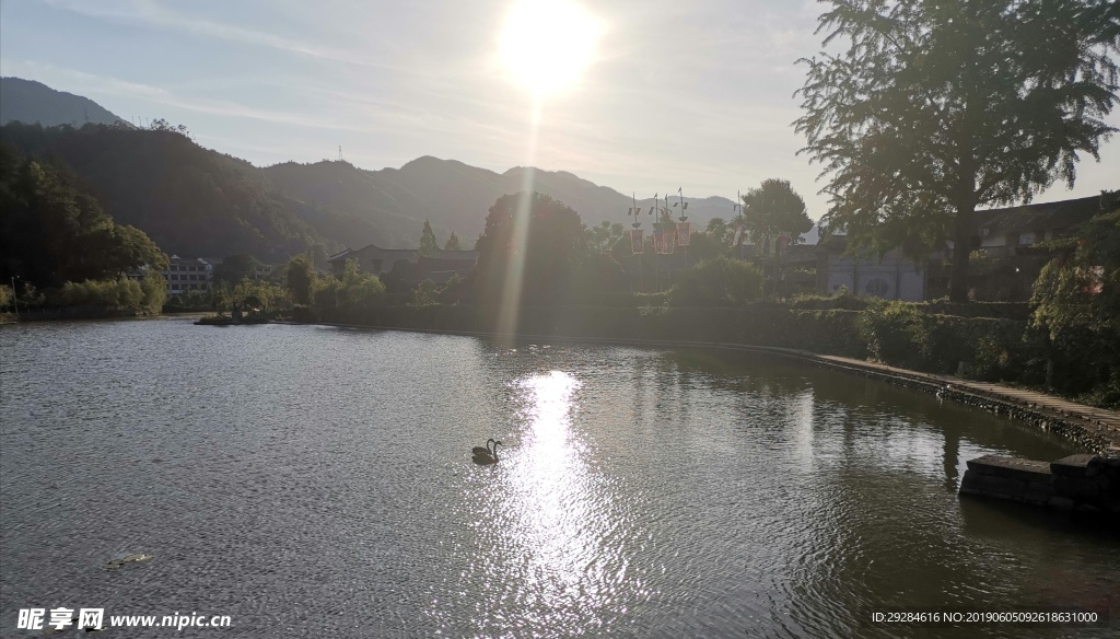 阳光户外水面