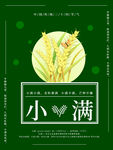小满