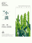 小满