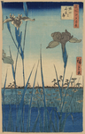 安腾广重浮世绘作品