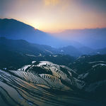 山景观