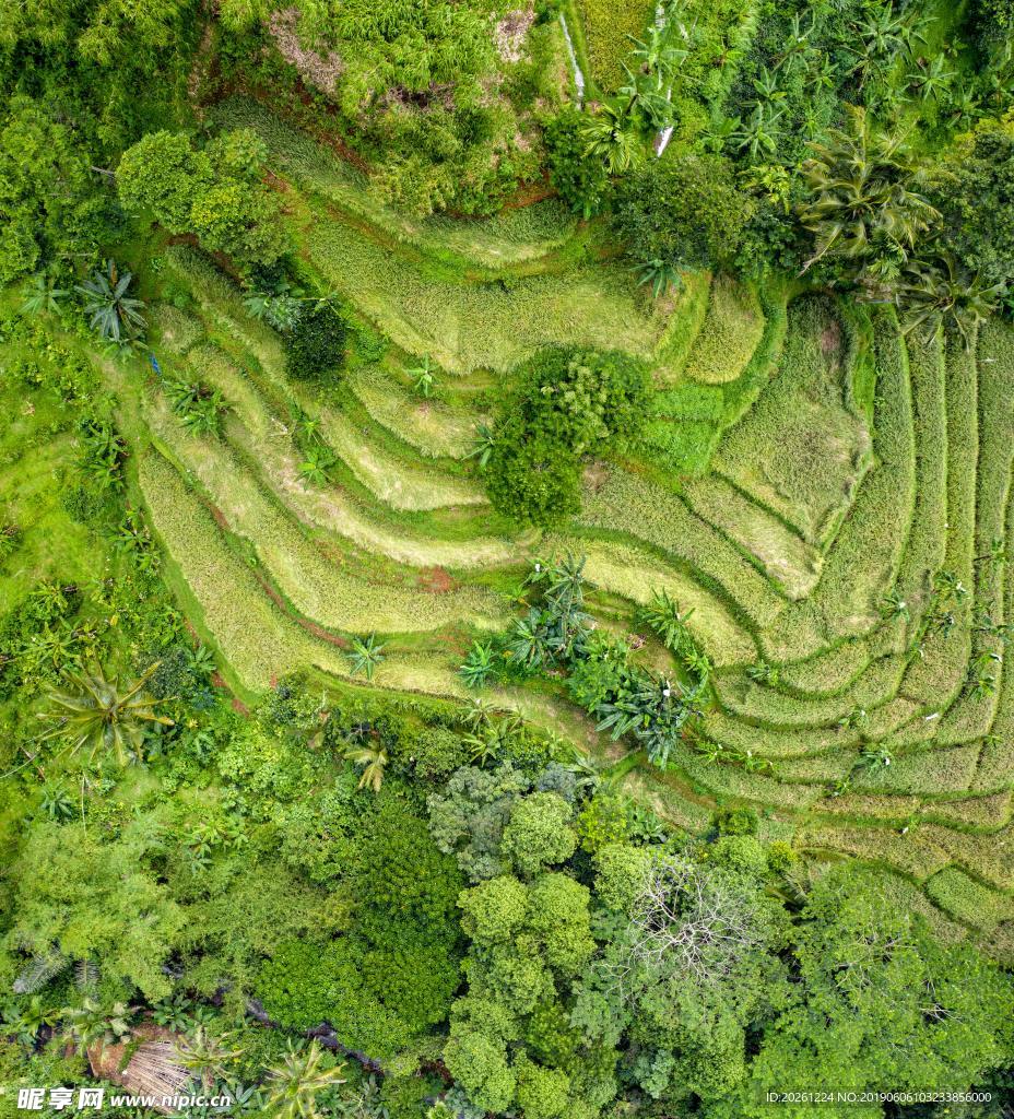 梯田