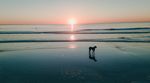 大海夕阳