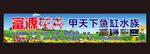 花卉盆景宣传