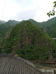 青山