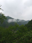 山