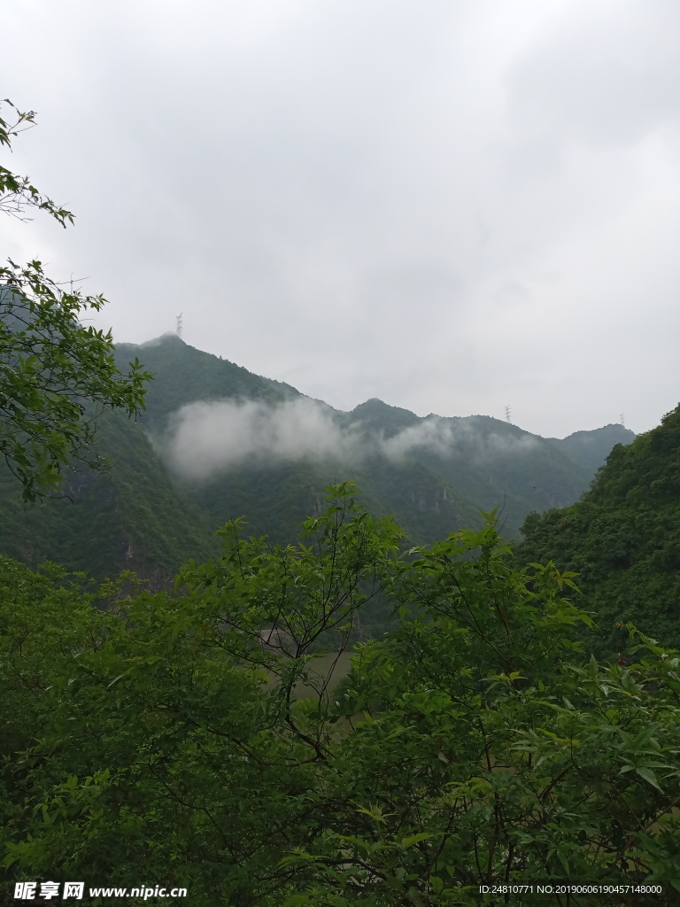 山
