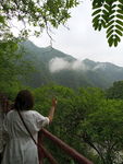 青山