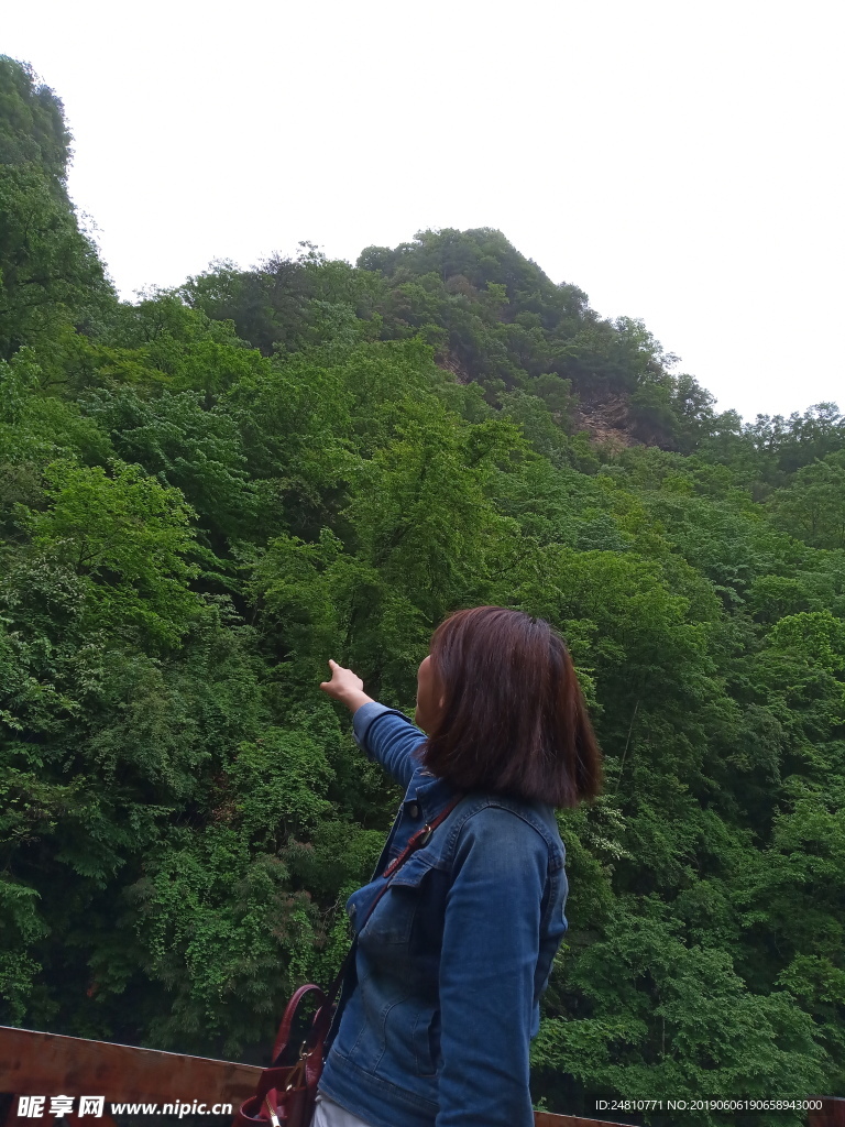 青山绿水