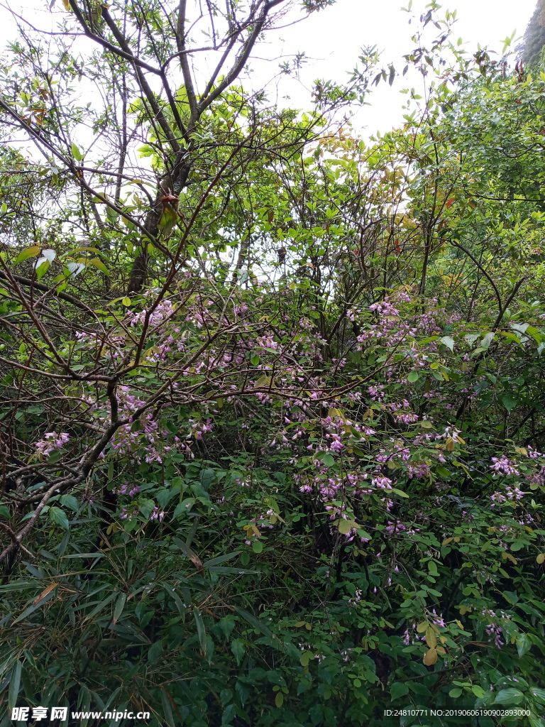 花